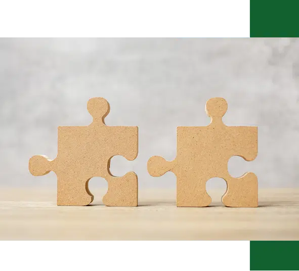 IPS Connect - Mission & Vision