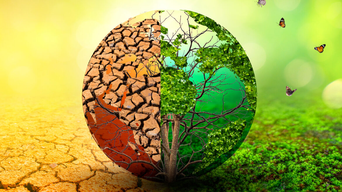 IPS Connect - Global Warming and You