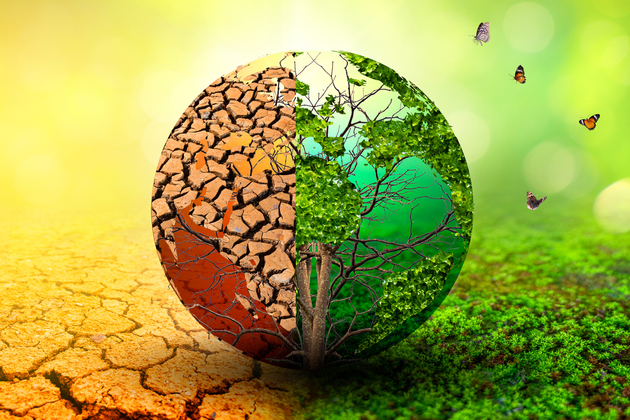 IPS Connect - Global Warming and You