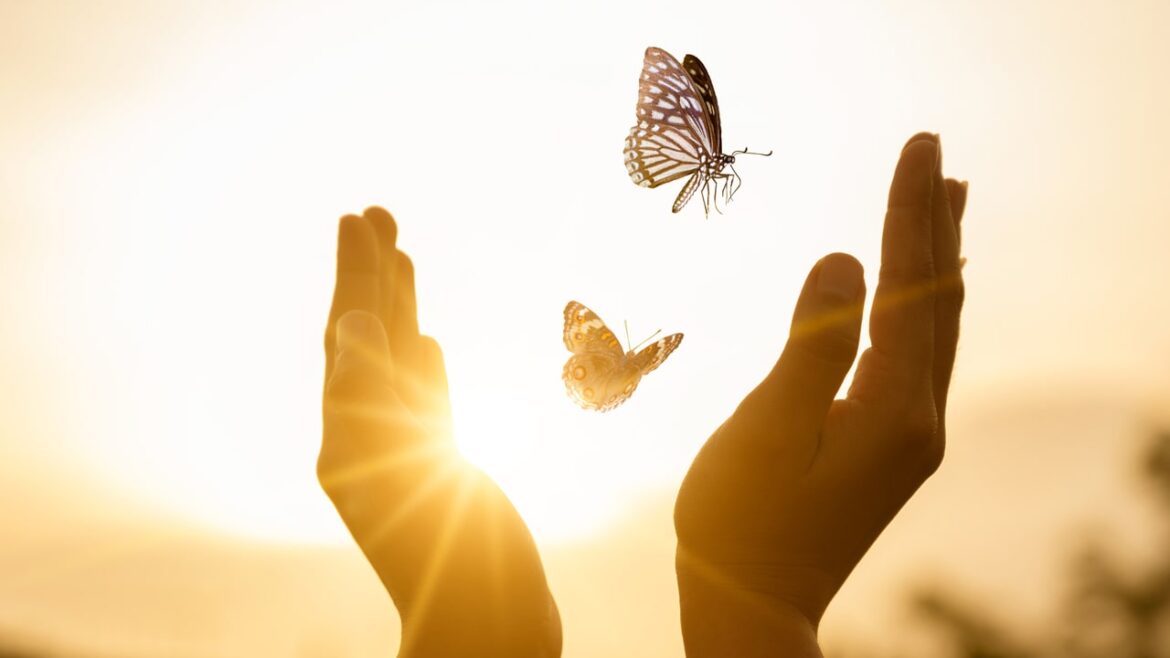 IPS Connect - Procurement Reimagined