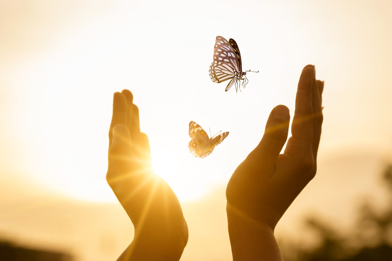 IPS Connect - Procurement Reimagined
