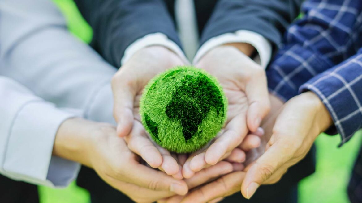 IPS Connect - Understanding Sustainable Procurement