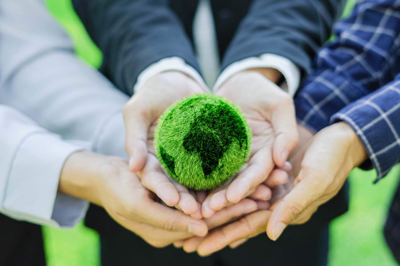IPS Connect - Understanding Sustainable Procurement